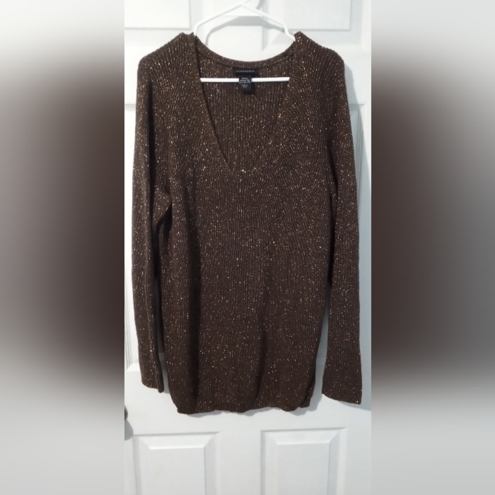 Lane Bryant Sparkling Brown V-Neck Sweater